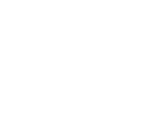 Author Template